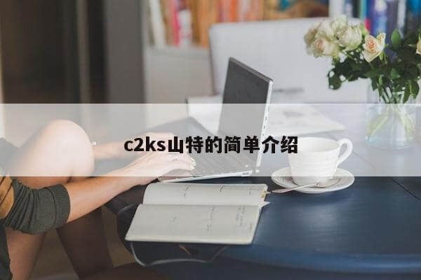 c2ks山特的簡單介紹